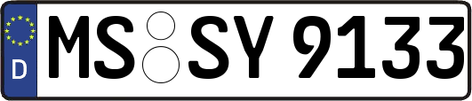 MS-SY9133