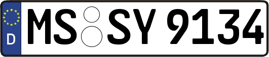 MS-SY9134
