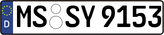 MS-SY9153