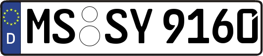 MS-SY9160