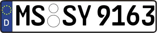 MS-SY9163