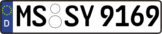 MS-SY9169