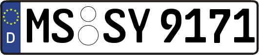 MS-SY9171
