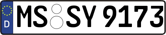 MS-SY9173