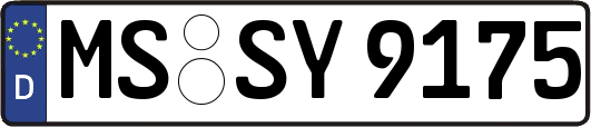 MS-SY9175