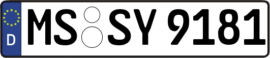MS-SY9181