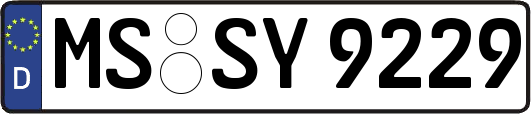 MS-SY9229