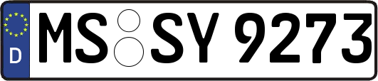 MS-SY9273