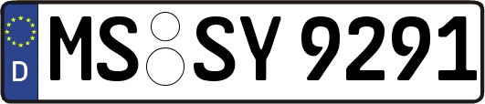 MS-SY9291