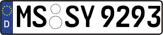 MS-SY9293