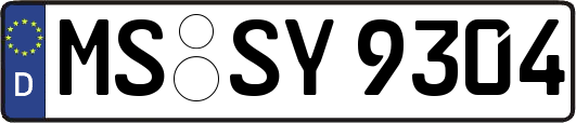 MS-SY9304