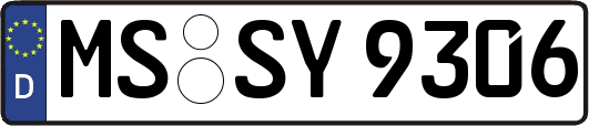 MS-SY9306