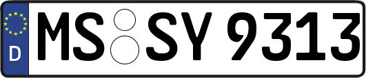 MS-SY9313