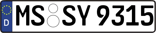 MS-SY9315