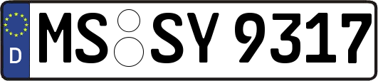 MS-SY9317