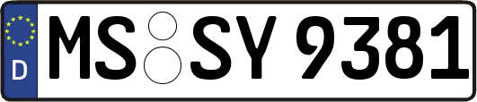 MS-SY9381