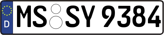 MS-SY9384