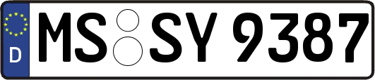 MS-SY9387