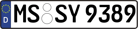 MS-SY9389