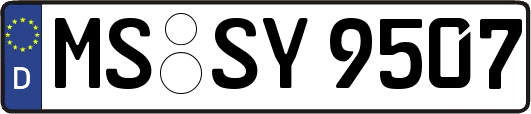 MS-SY9507