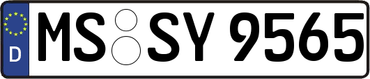 MS-SY9565