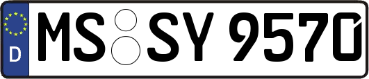 MS-SY9570