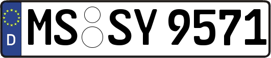 MS-SY9571