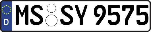 MS-SY9575