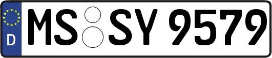 MS-SY9579