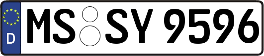 MS-SY9596
