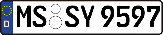 MS-SY9597