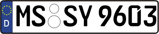 MS-SY9603