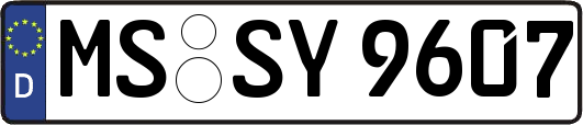 MS-SY9607
