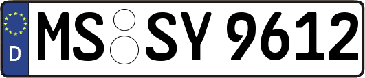 MS-SY9612