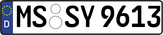 MS-SY9613