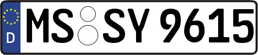 MS-SY9615