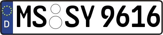 MS-SY9616