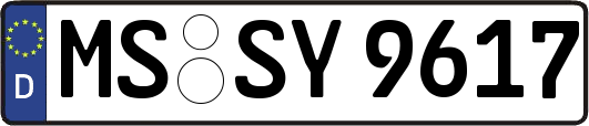 MS-SY9617