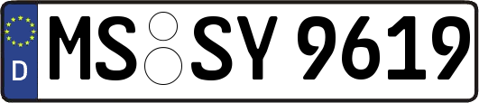MS-SY9619