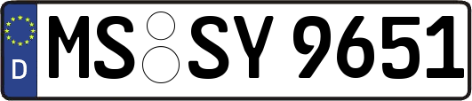 MS-SY9651