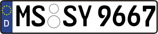 MS-SY9667