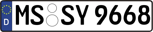 MS-SY9668