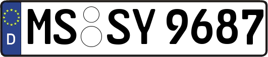 MS-SY9687