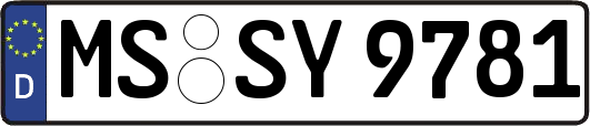MS-SY9781