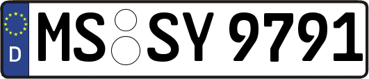 MS-SY9791