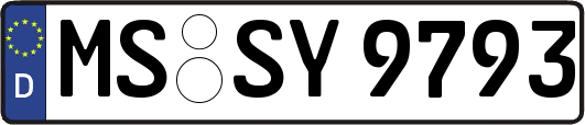 MS-SY9793