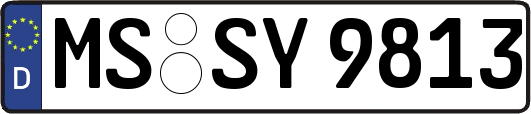 MS-SY9813