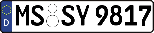 MS-SY9817