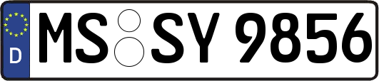 MS-SY9856