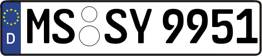 MS-SY9951